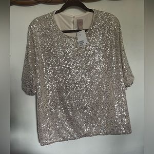 Holiday Sparkly Short Sleeve H&M Blouse Plus Size NWT